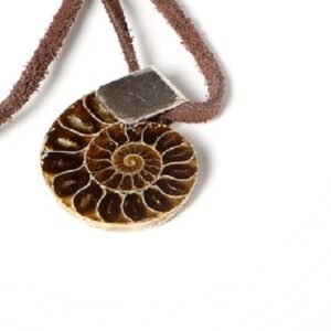 Colgante Ammonite.