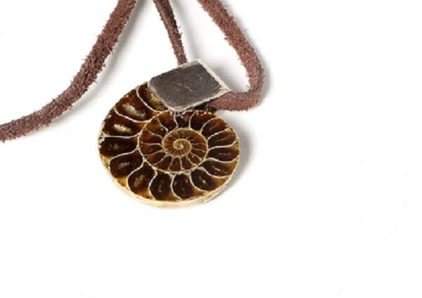 Colgante Ammonite.